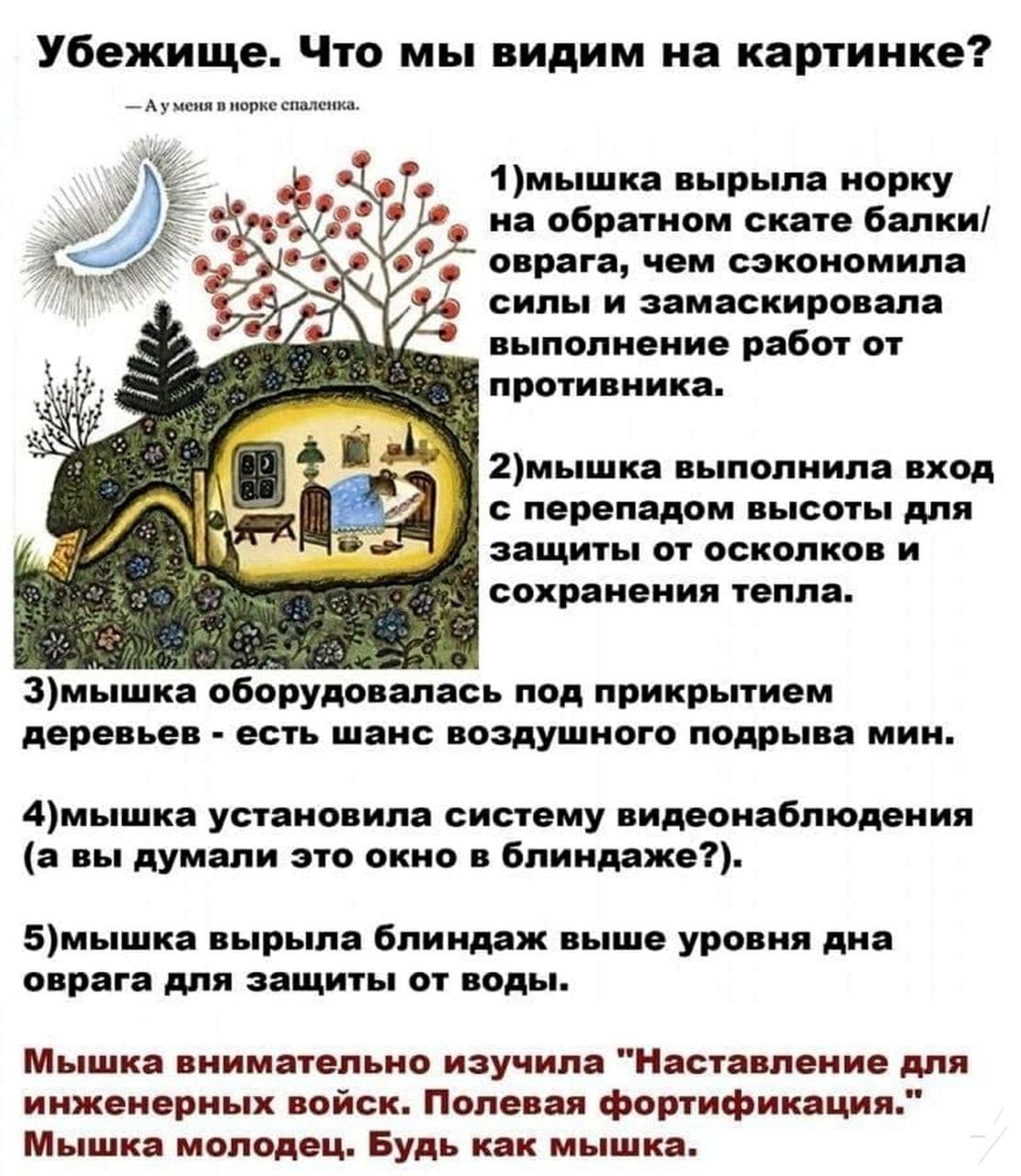 Убежище. Что мы видим на картинке? Ауменя в норке спаленка. yhe вырыла норку на обратном скате балки/ оврага, чем сэкономила 4 силы и замаскировала выполнение работ 2)мышка выполнила вход IN, с перепа