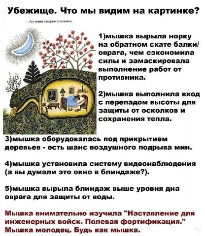 Убежище. Что мы видим на картинке? Ауменя в норке спаленка. yhe вырыла норку на обратном скате балки/ оврага, чем сэкономила 4 силы и замаскировала выполнение работ 2)мышка выполнила вход IN, с перепа