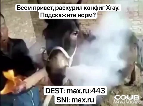 Всем привет, раскурил конфиг Хгау. Подскажите норм?