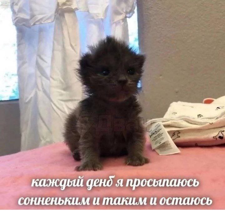 Гм