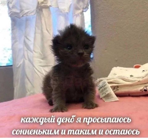 Гм