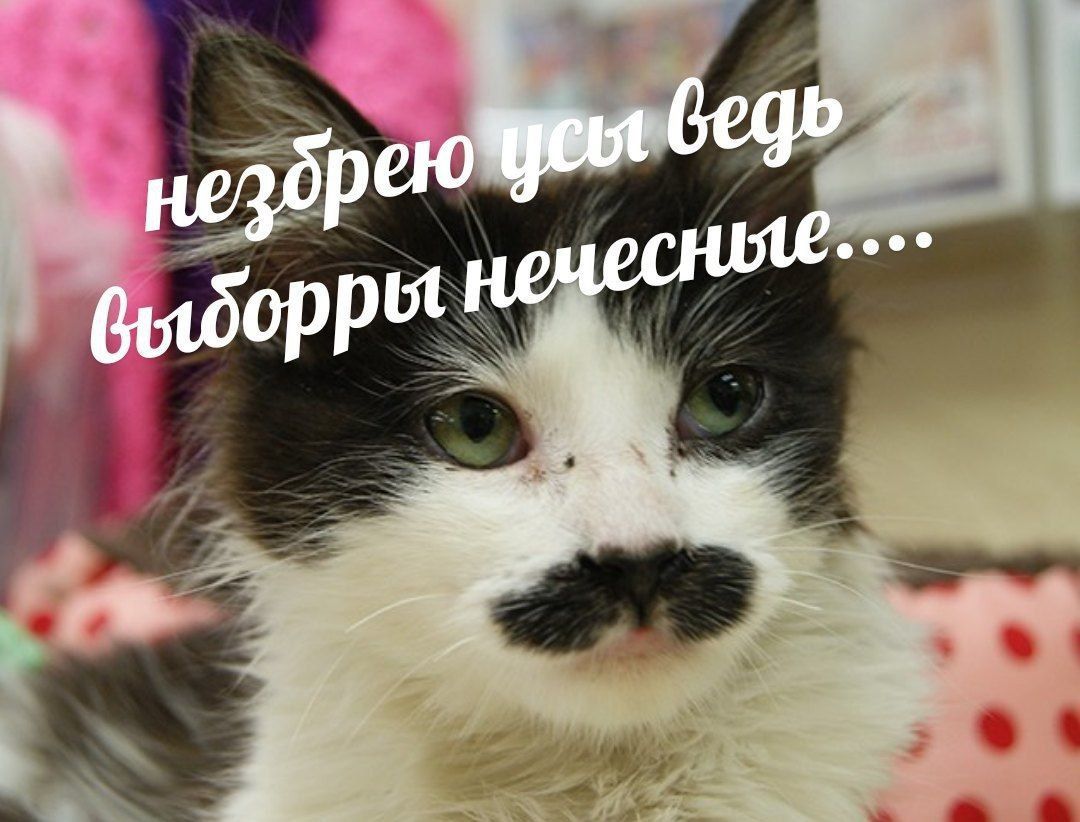незбр yng