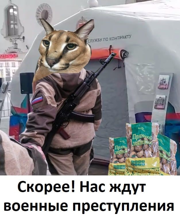 Скорее! Нас ждут военные преступления