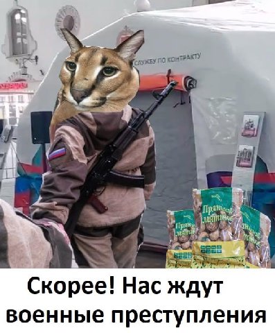 Скорее! Нас ждут военные преступления