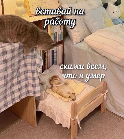 бставай на my i скажи бсем, что я умер A