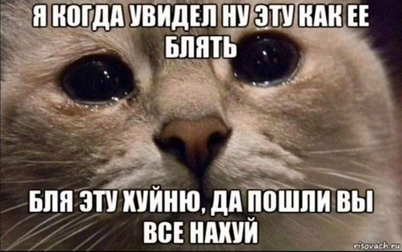 Я КОГДА УВИДЕЛ НУ ЭТУКАНЕЕ БЛЯТЬ БЛЯ ЭТУ ДА ПОШЛИ ВСЕНАХУИ