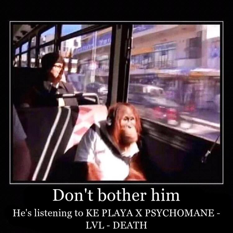 "4 Don't bother him He's listening to PLAYA РЗУСПОМАХЕ DEATH