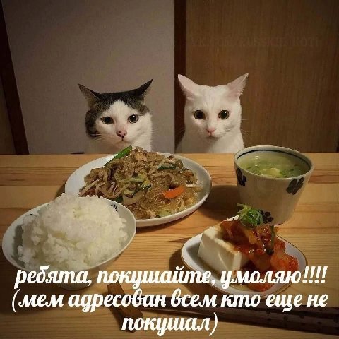 ребята, покциийте, умоляю!!! (mem адресован кто еще не покушал)