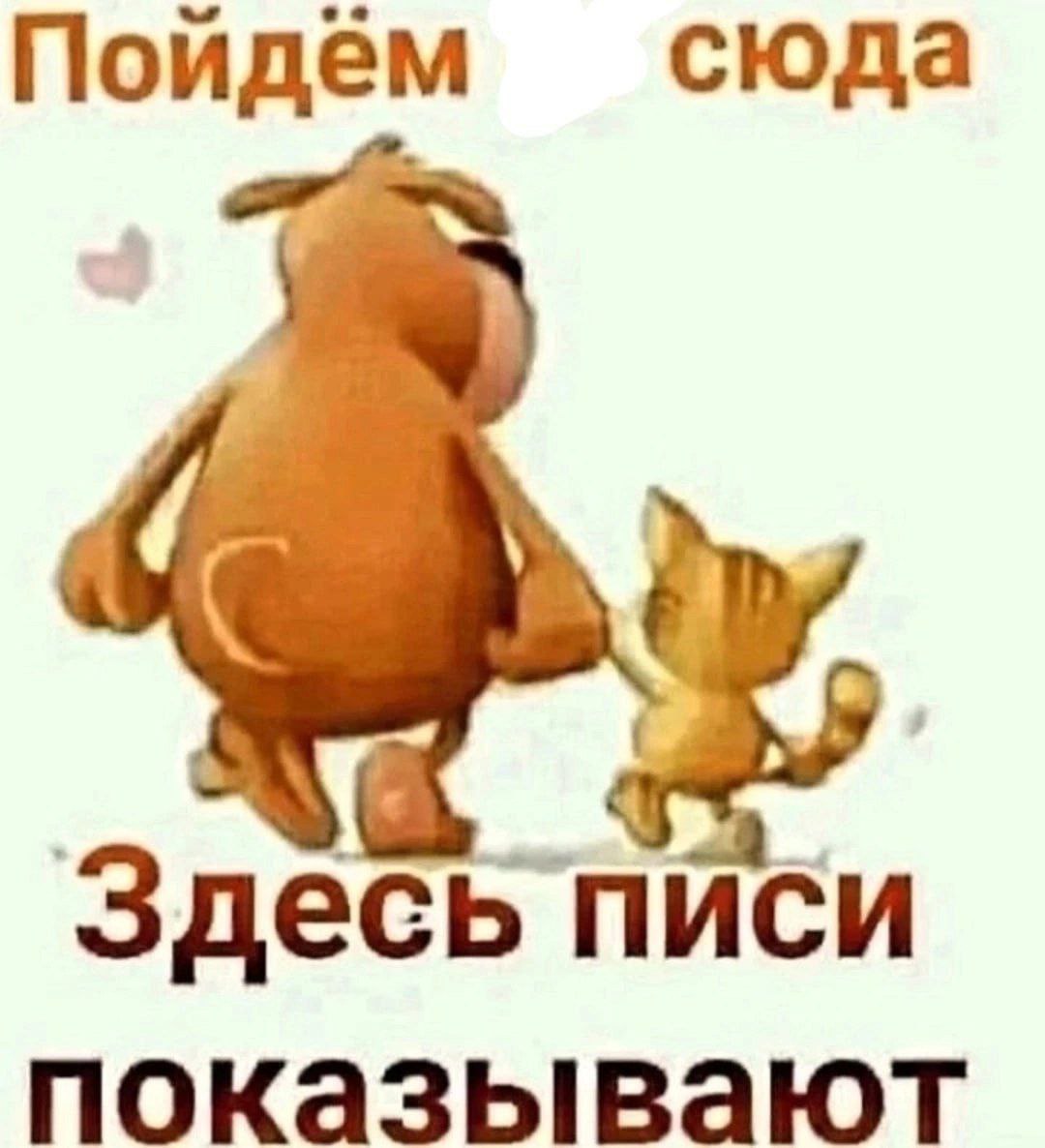 Пойдём сюда Здесь писи показывают