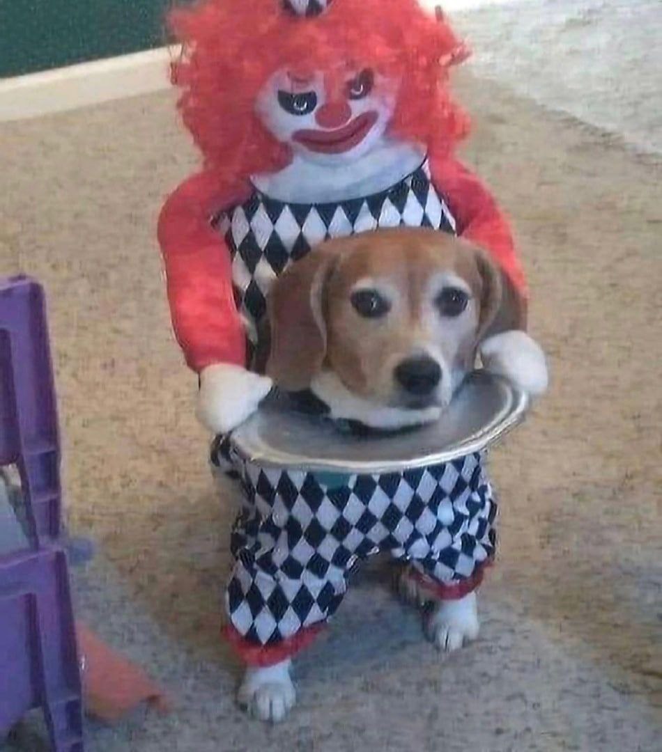 А, У A
