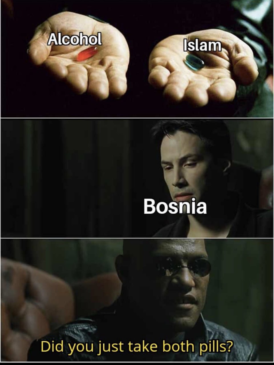 Alco hol Bosnia Did you just take both pills?