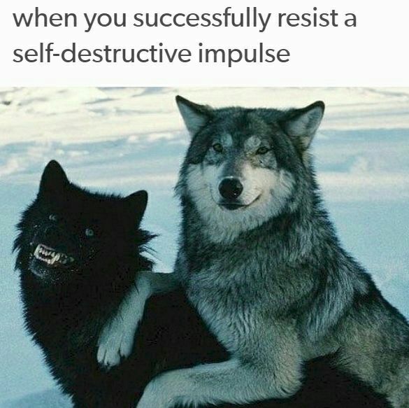 when you successfully resist a self-destructive impulse