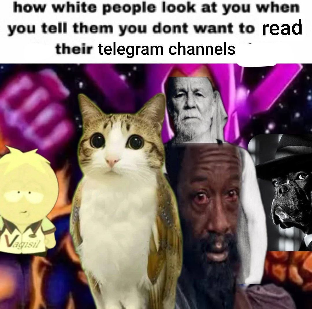 how white people look at you when you tell them you dont want to read their telegram channels 4