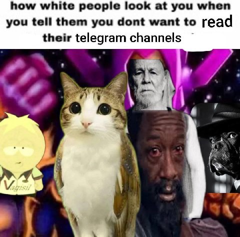 how white people look at you when you tell them you dont want to read their telegram channels 4