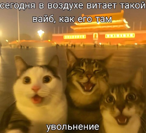 доброе утро