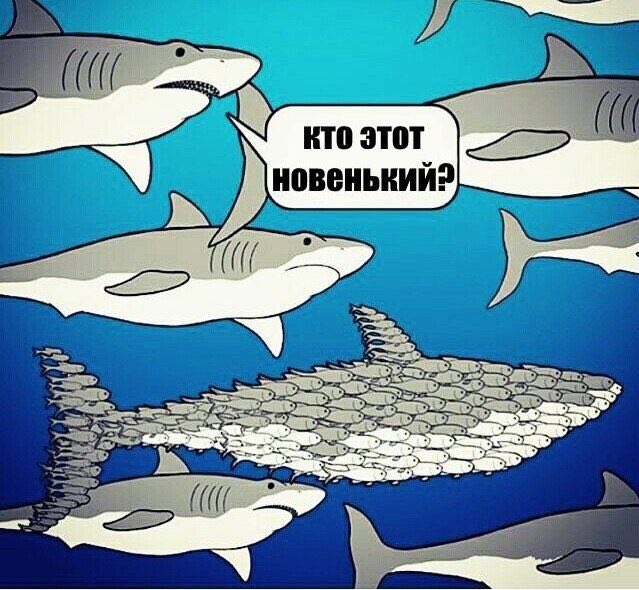 КТО этот 9 новенький?
