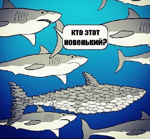 КТО этот 9 новенький?