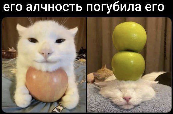 его алчность погубила его