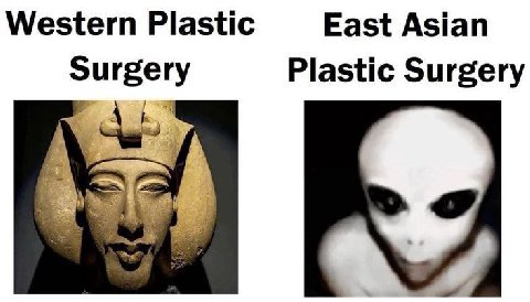 Western Plastic East Asian Surgery Plastic Surgery
