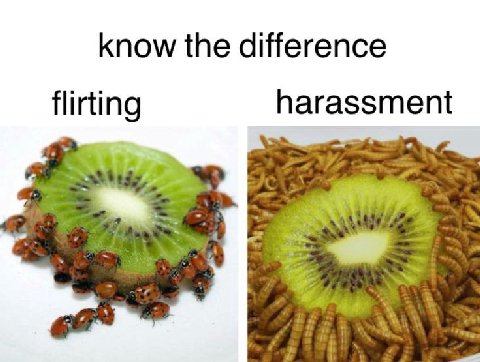know the difference flirting harassment