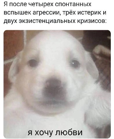 Я после четырех спонтанных вспышек агрессии, трёх истерик и двух экзистенциальных кризисов я хочу любви