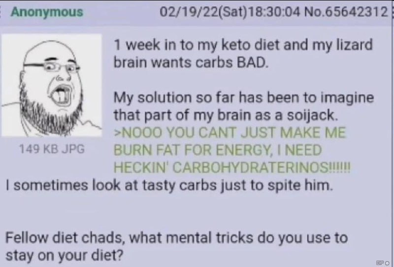Anonymous 02/19/22(Sat)18:30:04 №.65642312 1 week in to my keto diet and my lizard Мат wants carbs BAD. My solution so far has been to imagine that part of my brain as a soijack. »NOOO YOU CANT JUST M