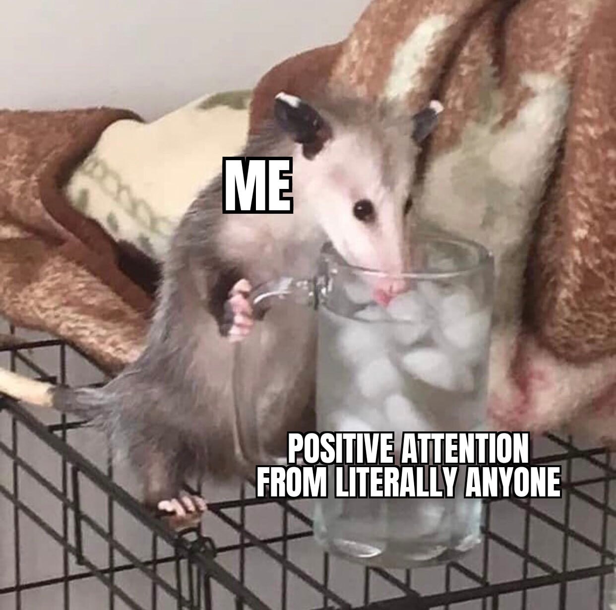 ATTENTION FROM LITERALLY ANYONE