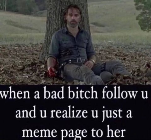 when а bad bitch follow и and realize just a meme page to her