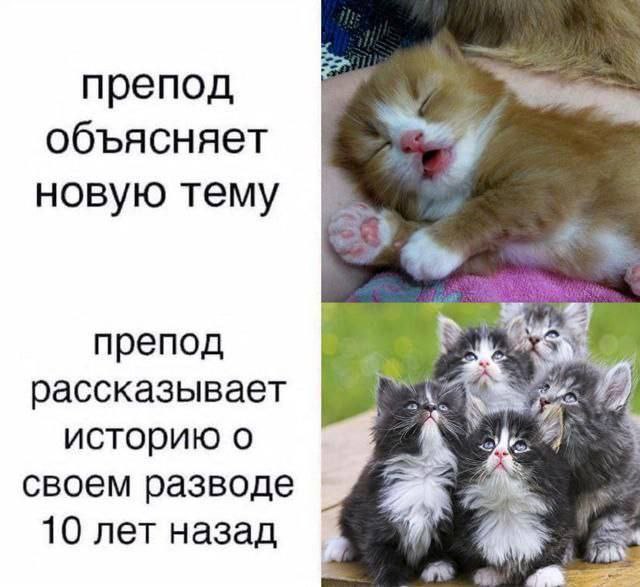 препод объясняет новую тему препод рассказывает историю о своем разводе 10 лет назад