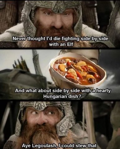 Never thought die fighting side side withanElf And what about side side witha hearty Hungarian dish? Aye Legoulash* 1 соша stew that