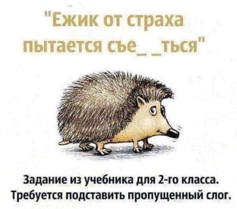 ЕЖИК страха пытается съе ТЬСЯ Задание из учебника для класса. Требуется подставить пропущенный слог.