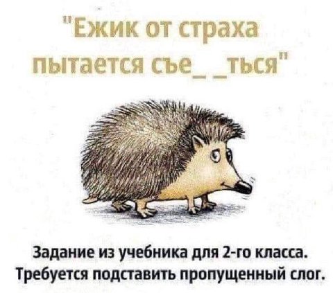 ЕЖИК страха пытается съе ТЬСЯ Задание из учебника для класса. Требуется подставить пропущенный слог.