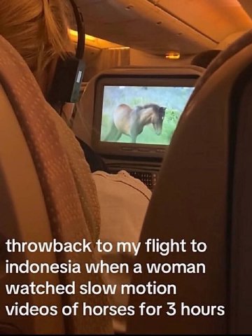 я throwback to у flight to indonesia when a woman watched slow motion videos of horses for 3 hours