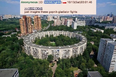 Апопутоц$ mmm 10/13(Sat)03:01:46 22189213048 just imagine these gopnik-gladiator fights i |5 у A, at и