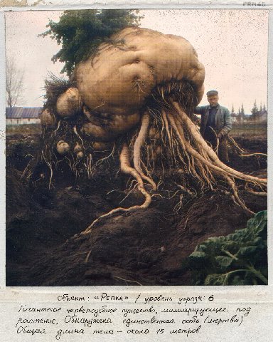 Рассекреченный фотоархив «Бюро Контроля Аномалий».
Часть первая.