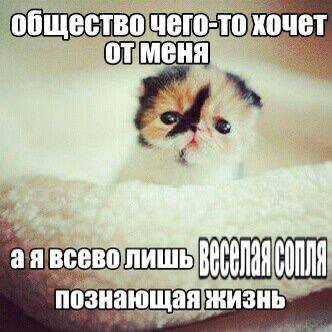 Мы?