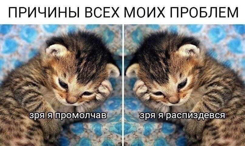 ПРИЧИНЫ ВСЕХ МОИХ ПРОБЛЕМ зря япромолчав зряя распиздевся