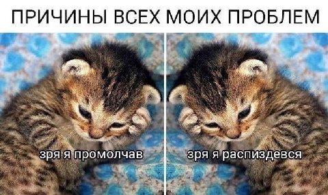 ПРИЧИНЫ ВСЕХ МОИХ ПРОБЛЕМ зря япромолчав зряя распиздевся