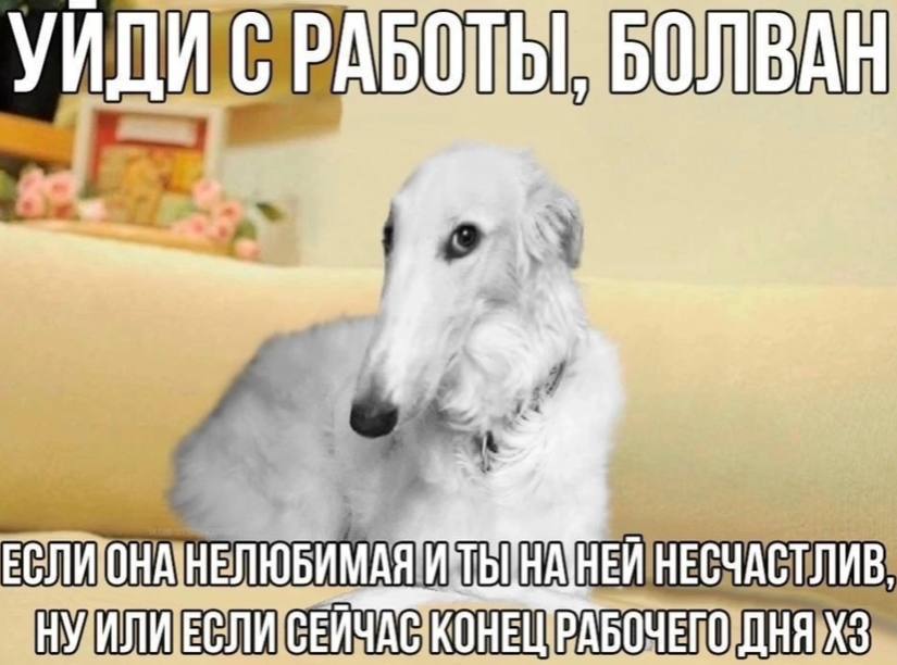 НЕСЧАСТЛИВ