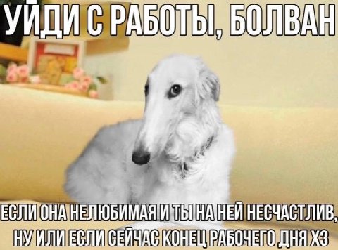 НЕСЧАСТЛИВ