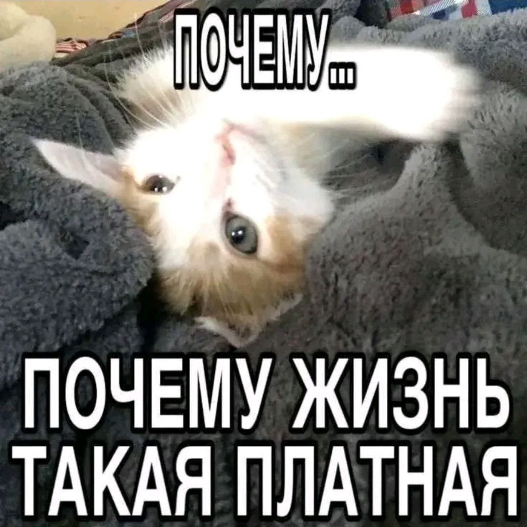 ПОЧЕМУ ЖИЗНЬ ТАКАЯ ПЛАТНАЯ