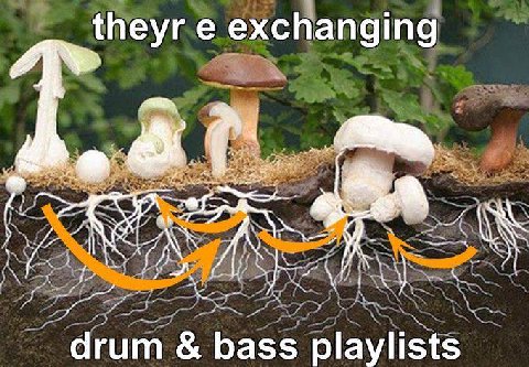exchanging drum bass playlists