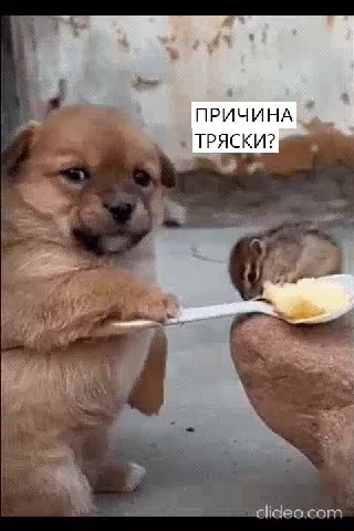 я ’ ПРИЧИНА ^^