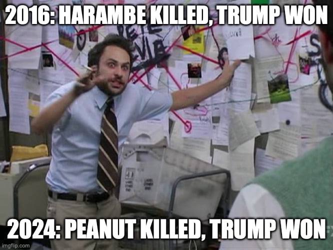 2016: НАВАМВЕ KILLED, TRUMP WON 2024: PEANUT KILLED, TRUMP WON