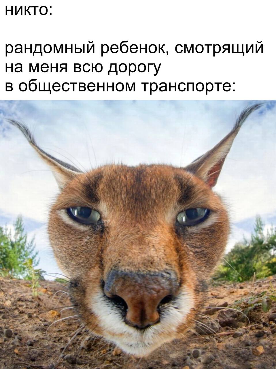 НИКТО: рандомный ребенок, смотрящий на меня всю дорогу общественном транспорте: 4