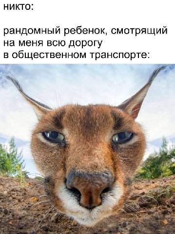 НИКТО: рандомный ребенок, смотрящий на меня всю дорогу общественном транспорте: 4