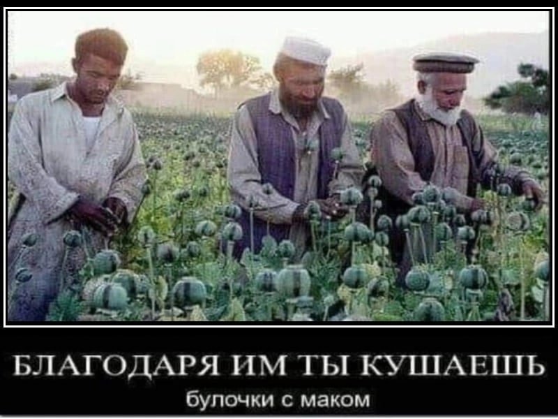 a 3 у а 4 3 7 БЛАГОДАРЯ ТЫ КУПТАЕПТЬ булочки с маком