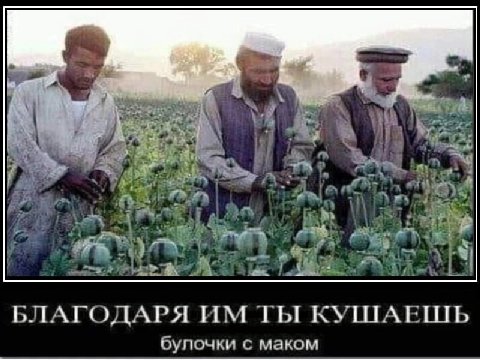 a 3 у а 4 3 7 БЛАГОДАРЯ ТЫ КУПТАЕПТЬ булочки с маком
