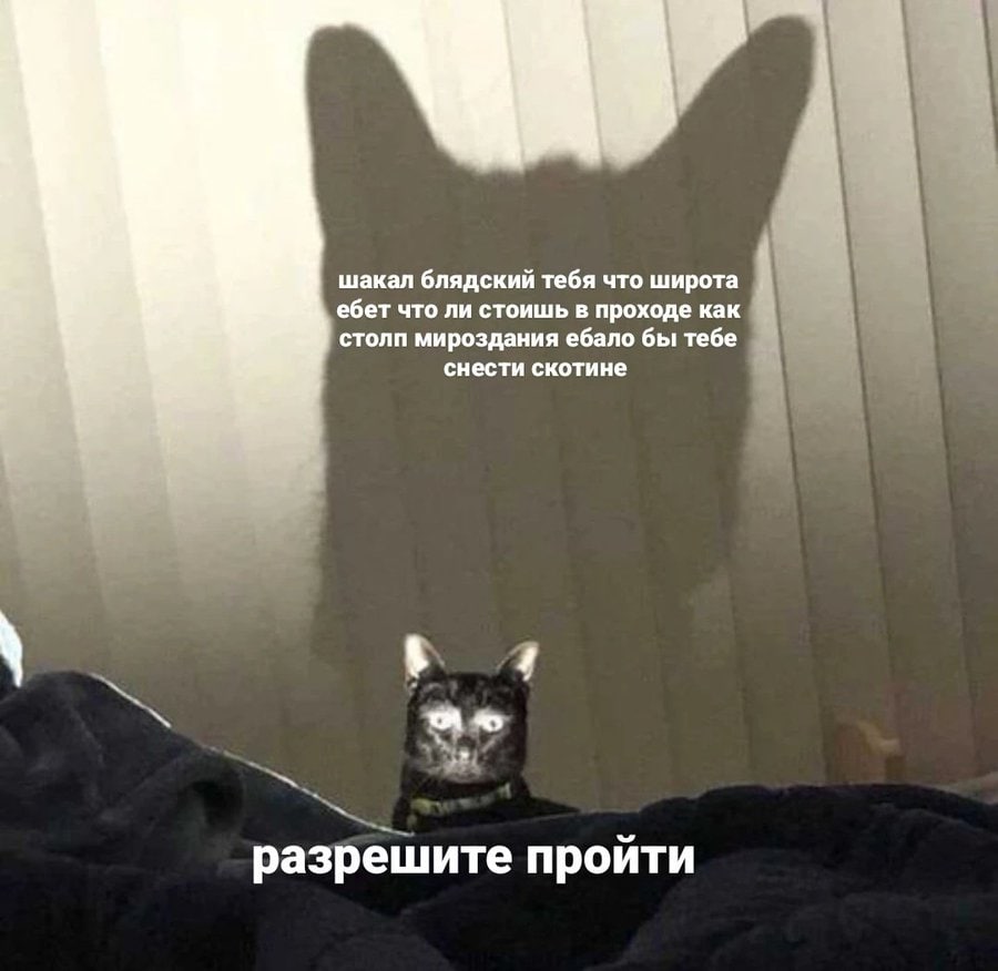 шакал блядский тебя что широта ебет что ли стоишь в проходе как столп мироздания ебало бы тебе снести скотине разрешите пройти