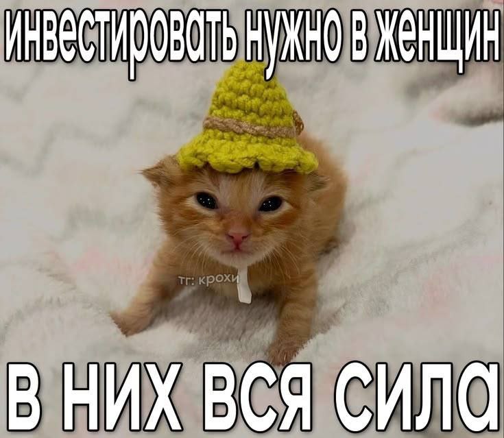 НУЖНО В ЖЕНЩИН В НИХ ВСЯ